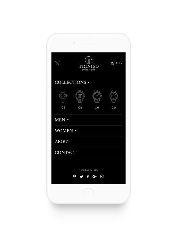 Triniso Case Study